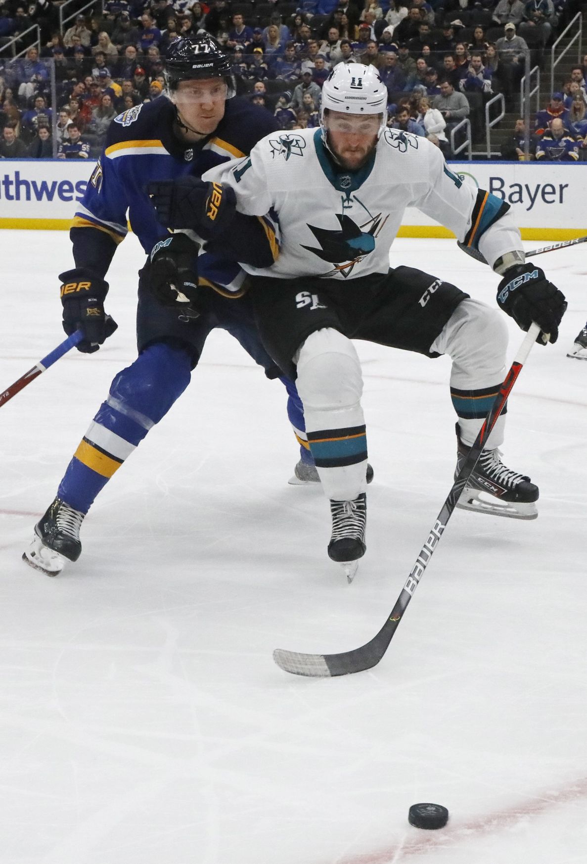 Blues and Sharks skate at the Enterprise Center